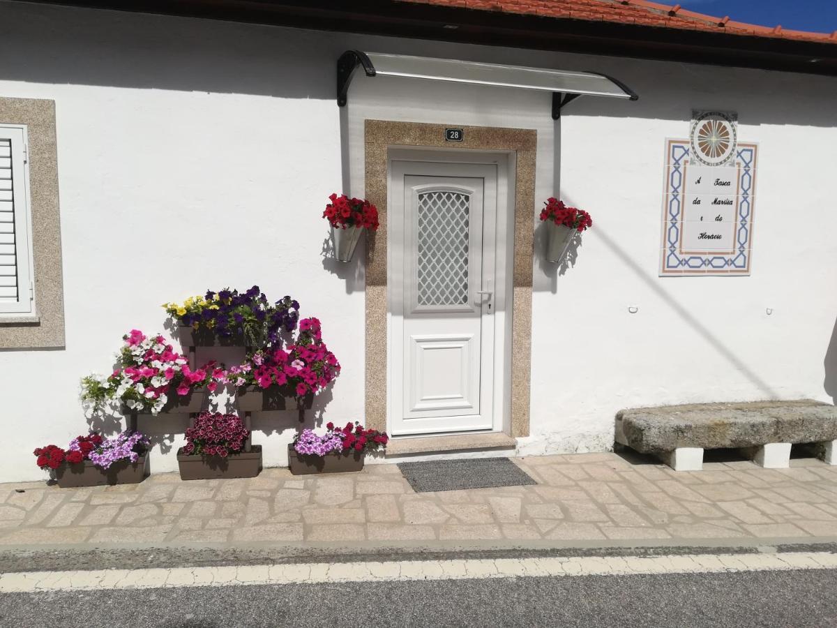Maison d'hôtes A Tasca à Vila Real Extérieur photo
